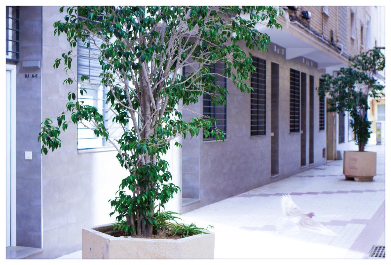 Appartement Estacion-centro Vialia *